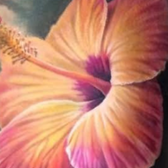 Meet your Posher, Vanessa - Picture 1 of 1